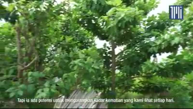 Saya kagum dgn bahasa melayu dr darshan singh typical local malays voice and dialect