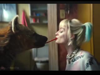 Harley quinn x dc x birds of prey x margot robbie x edit x midnight edits