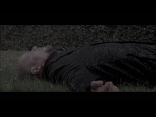 Holly loose gegen den wind (snipet 2020)