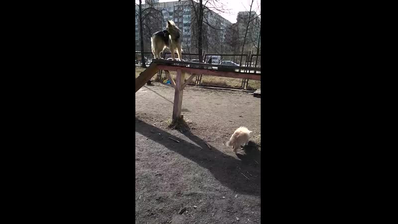 Клифф на площадке