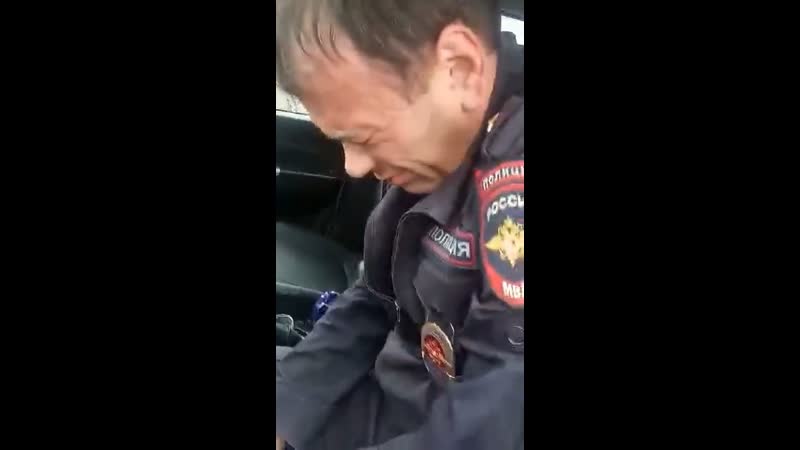 Товарищ майор