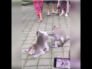 У проктолога))