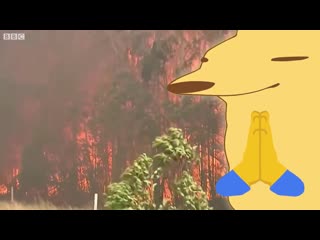 Dorime fennec @squizxy