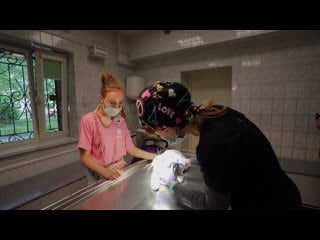 Вручение 🎁 подарка «чистка 🦷 зубов»