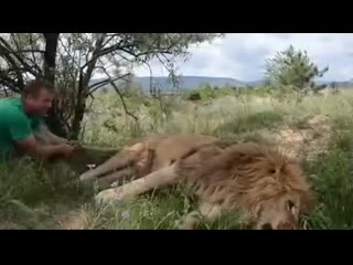 Не мешай (vhs video)