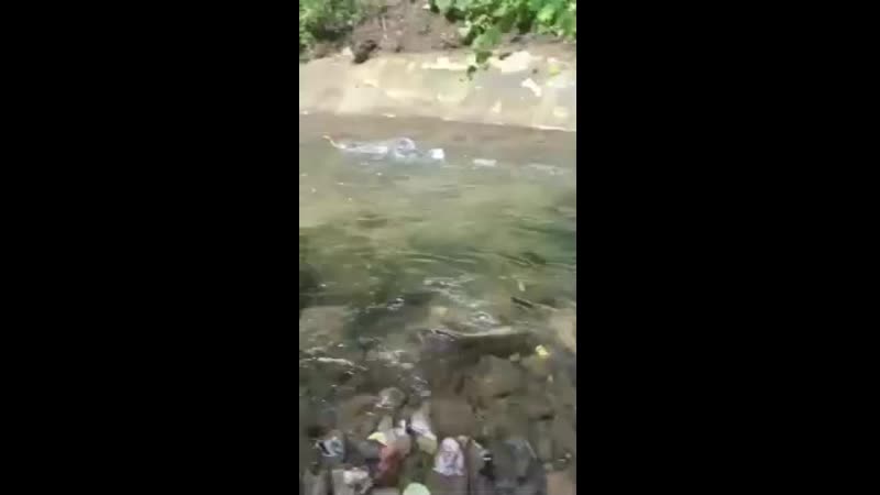 Реактивный