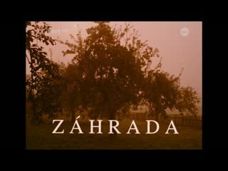 Сад / záhrada / the garden (1995) dir martin šulík [1080p] (rus sub)