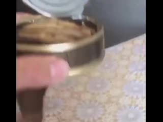 Жена открыла шпроты