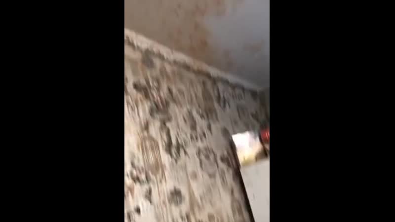 Гуляш бомба