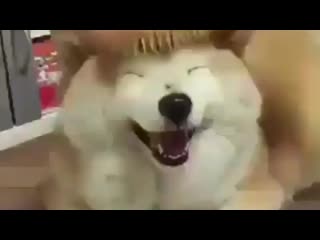 Namgi by porn ⁺¹⁸