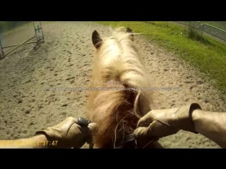 Trotting on horseback