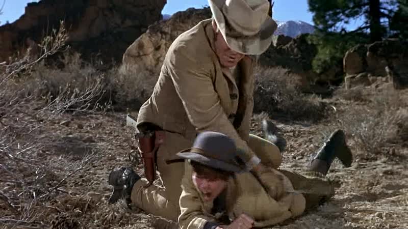 Настоящее мужество (1969)