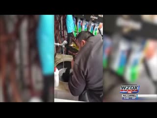 Puppy saved by cpr from a stranger
