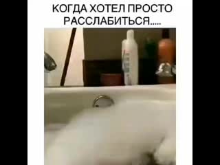 И в ванной достали