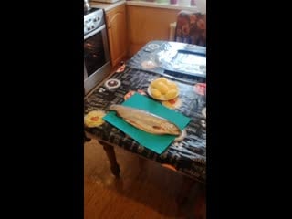 Vid 20190317 142422 mp4