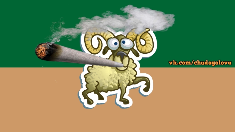 Накуренный козёл братуха козлуха