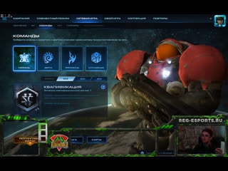 Reg raf terran master 1x1