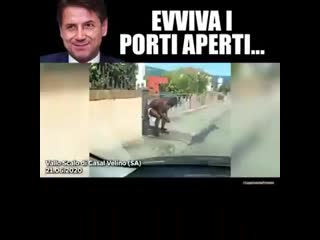 Evviva i porti aperti attenzione bidet in corso ( 360 x 360 ) mp4