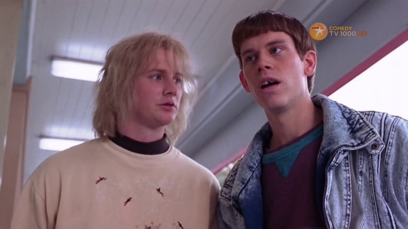 Тупой и еще тупее тупого когда гарри встретил ллойда (2003)