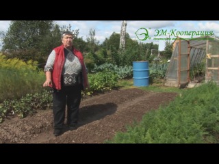 Подготоа грядок с байкал эм1