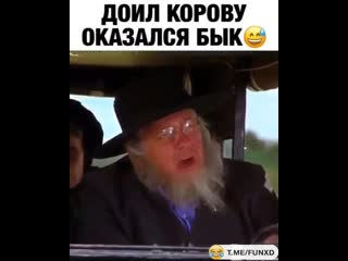 Видео от гибдд