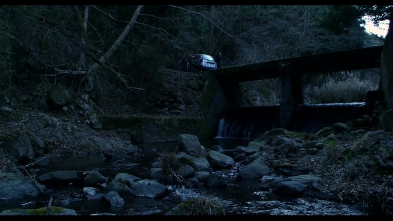 Холодная рыба / tsumetai nettaigyo (cold fish)