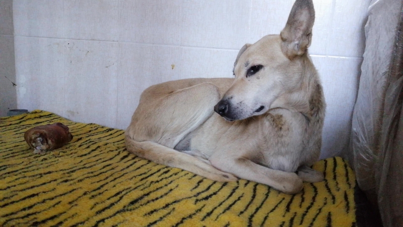 Никуша ещё разок и чётче )