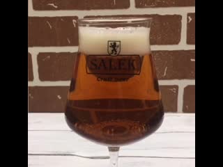 Salek amber lager