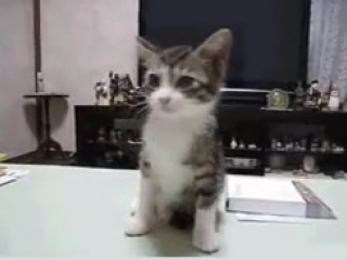 Неожиданная сьёмка