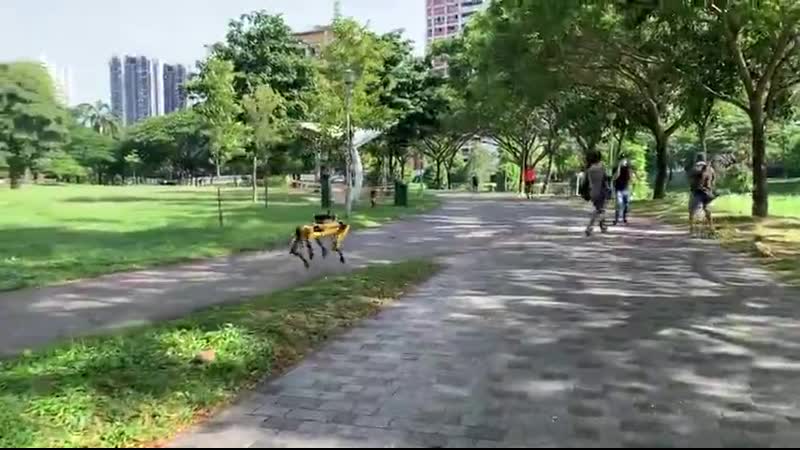Робопес от boston dynamics в сингапуре гоняет кожаных ублюдков