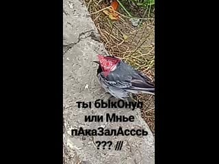 Mega omega porno zhopa pizda rvёt celku konchil v vaginu 24/7