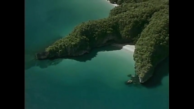 Повторное открытие мира #33 палаван последнее убежище