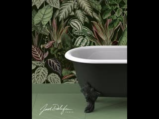 Jacob delafon / cleo