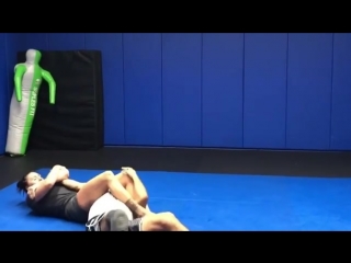 Cat zingano / training