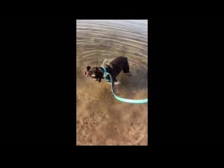 Bill kaulitz & leni klum / helen boshoven samuel instagram stories