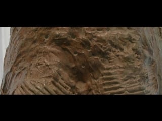 J w anderson's disobedient bodies