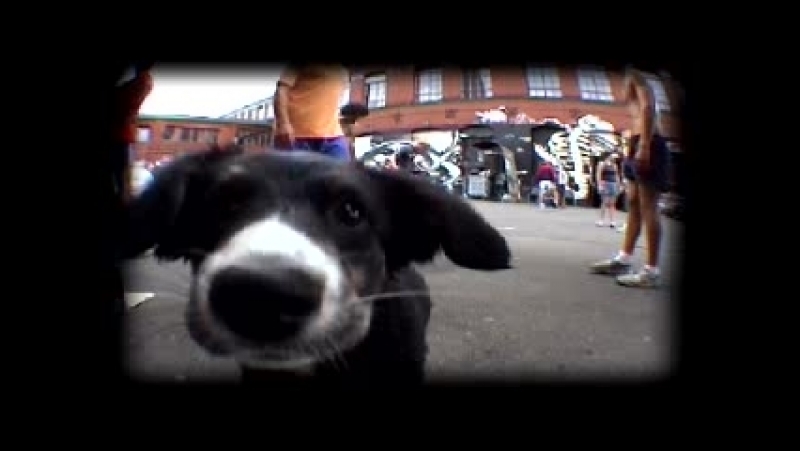 Teaser footjam 03