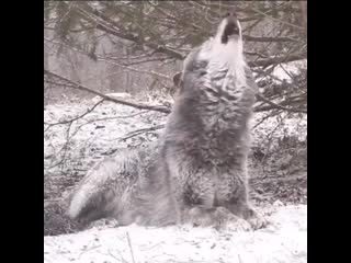 Best jokes channel 1 29052019 0717 mp4