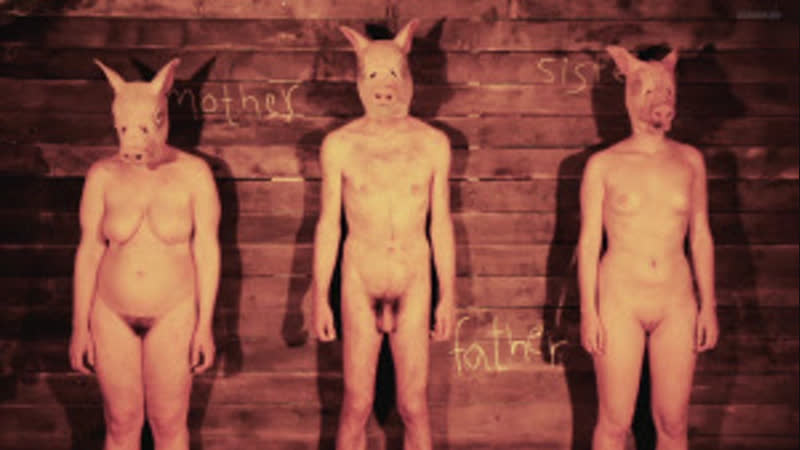 Деспоина капулица, софия караканца, елени лампроу / despoina kapoulitsa, sofia karakantza, eleni lamprou pigs ( 2011 )