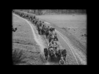 Rote armee 1939 befreiung der westukraine vom polnischen joch