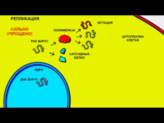 [хамибин] все самое главное о вирусах | озвучка хамибина