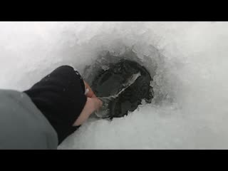 Trim vid 20210107 100813 001 mp4