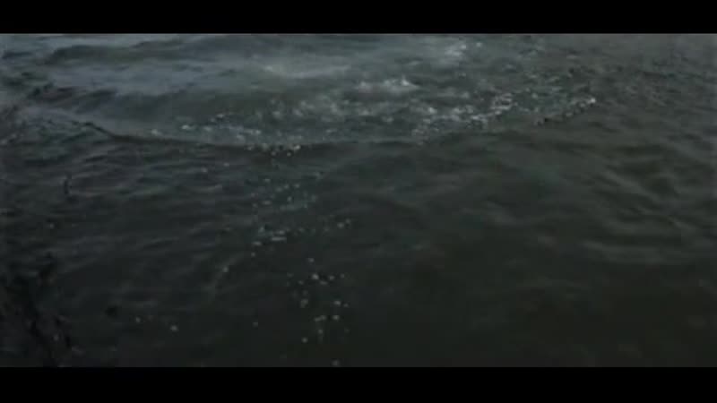 Мужчина русалка фильм производства нидерландов, бельгии, франции, германии и дании, 1996 год