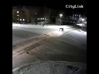 Kris p almaty 20210106 1 mp4