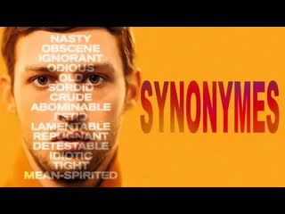 Синонимы synonymes (2019)