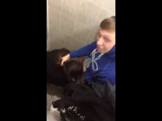 Студенты минет в туалете [public, students, blowjob]