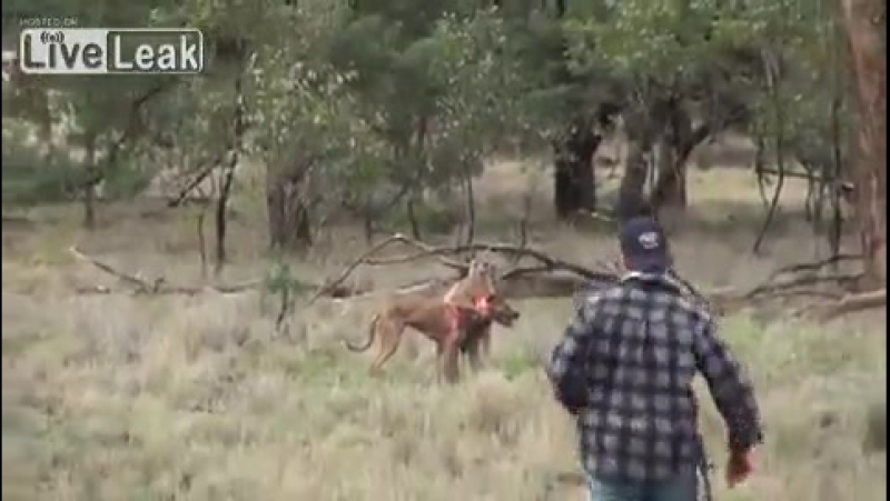 Разобрался по мужски