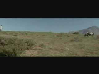 Матрица с коровой