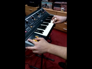 There goes moog little phatty!