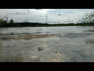 Vid 20190817 112618(0) mp4